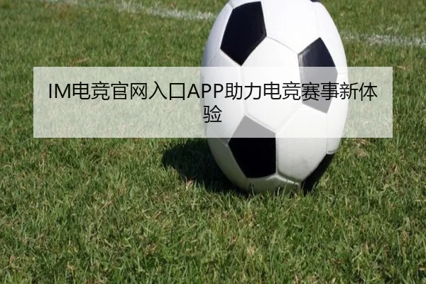 IM电竞官网入口APP助力电竞赛事新体验