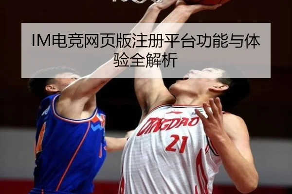 IM电竞网页版注册平台功能与体验全解析