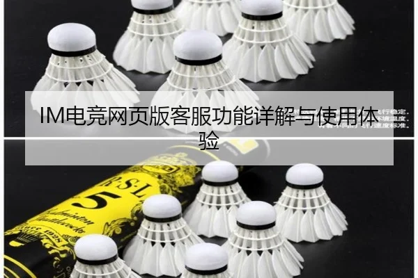 IM电竞网页版客服功能详解与使用体验