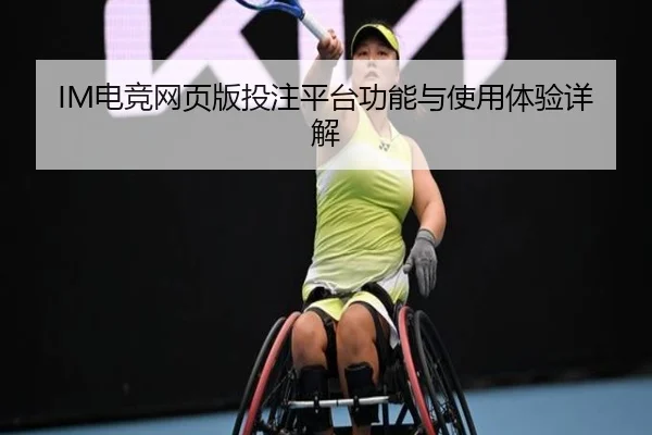 IM电竞网页版投注平台功能与使用体验详解