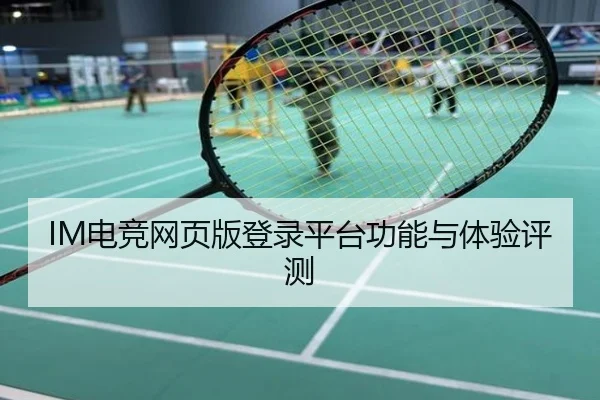 IM电竞网页版登录平台功能与体验评测