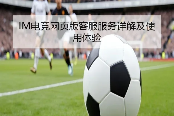 IM电竞网页版客服服务详解及使用体验