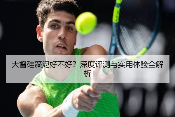 大督硅藻泥好不好？深度评测与实用体验全解析