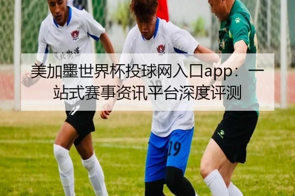 美加墨世界杯投球网入口app：一站式赛事资讯平台深度评测